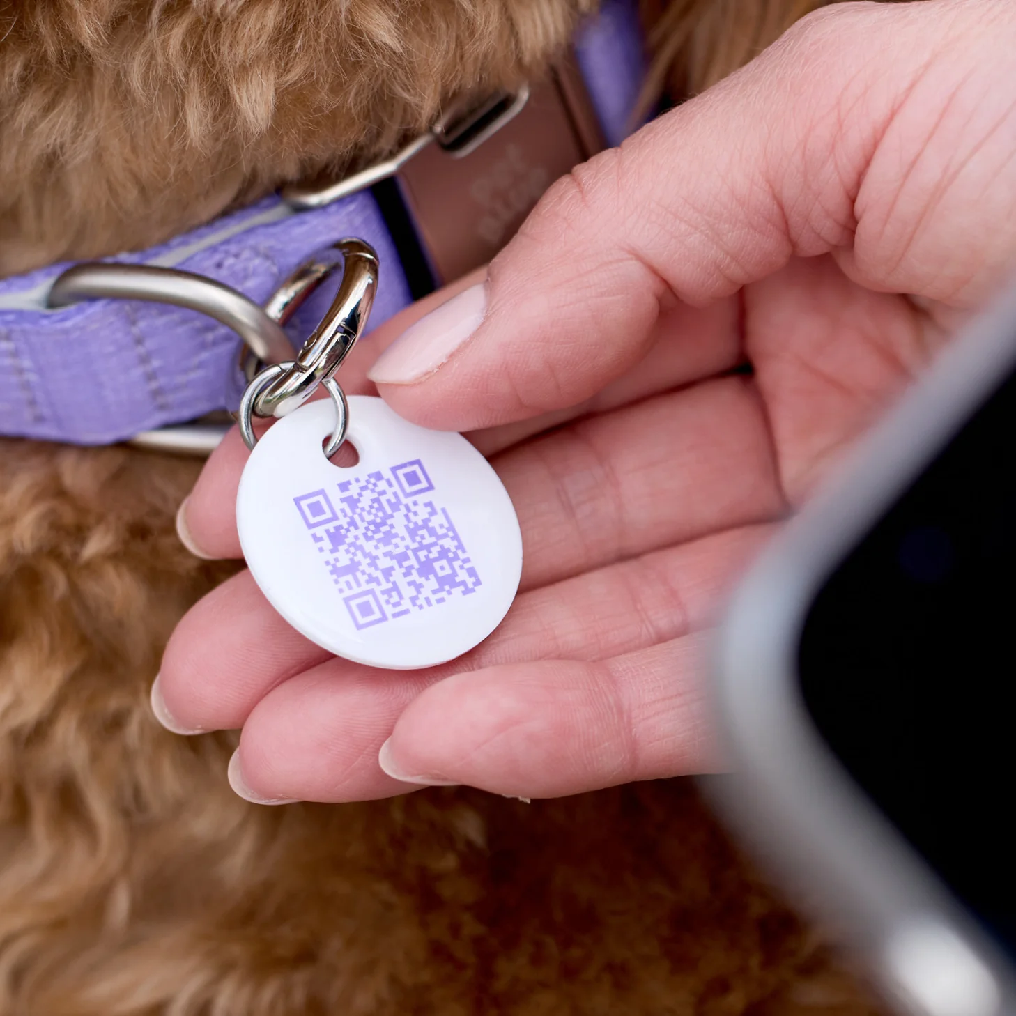 QR Pet Tags